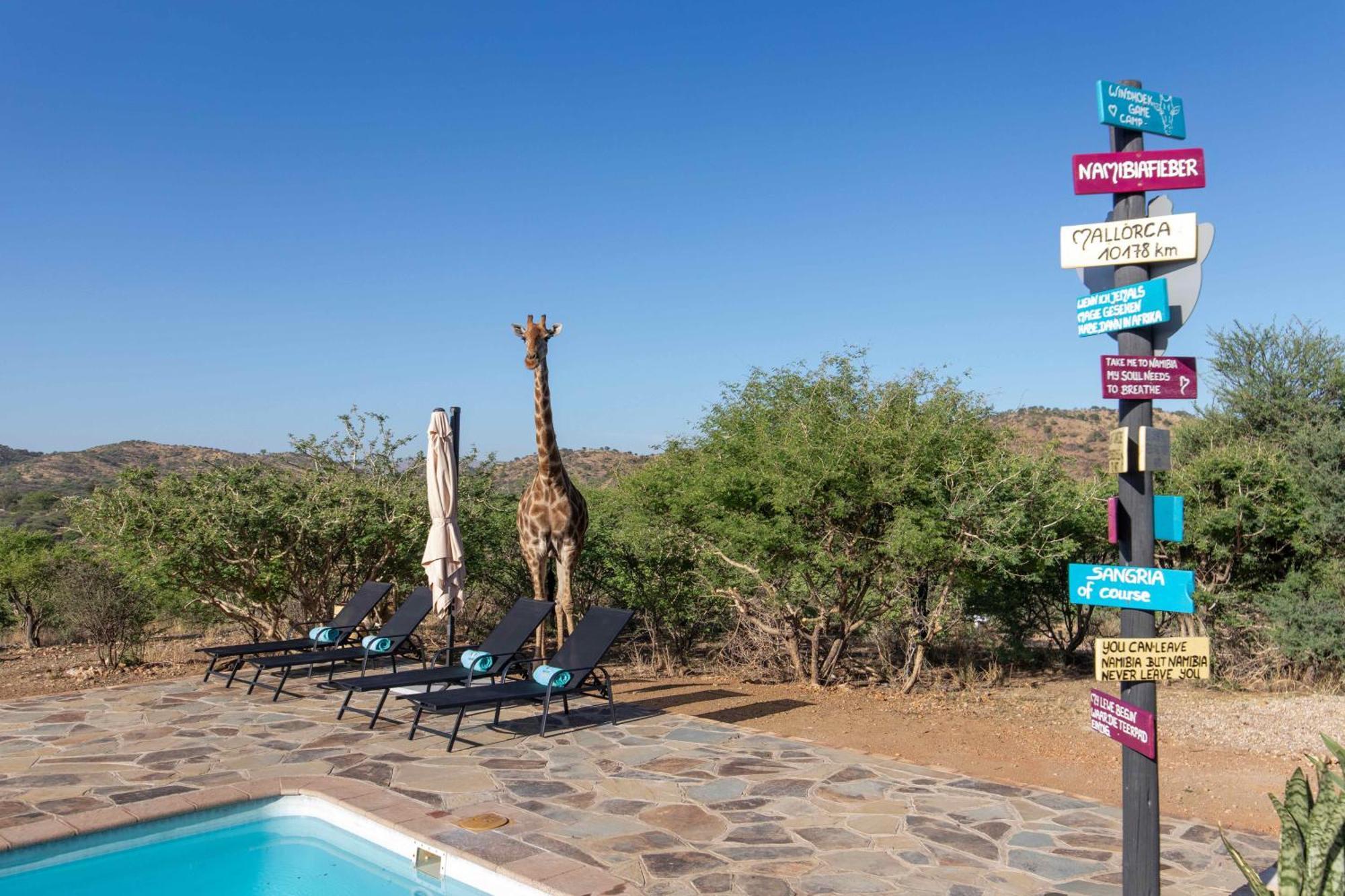 Windhoek Game Camp Lafrenz Township Esterno foto