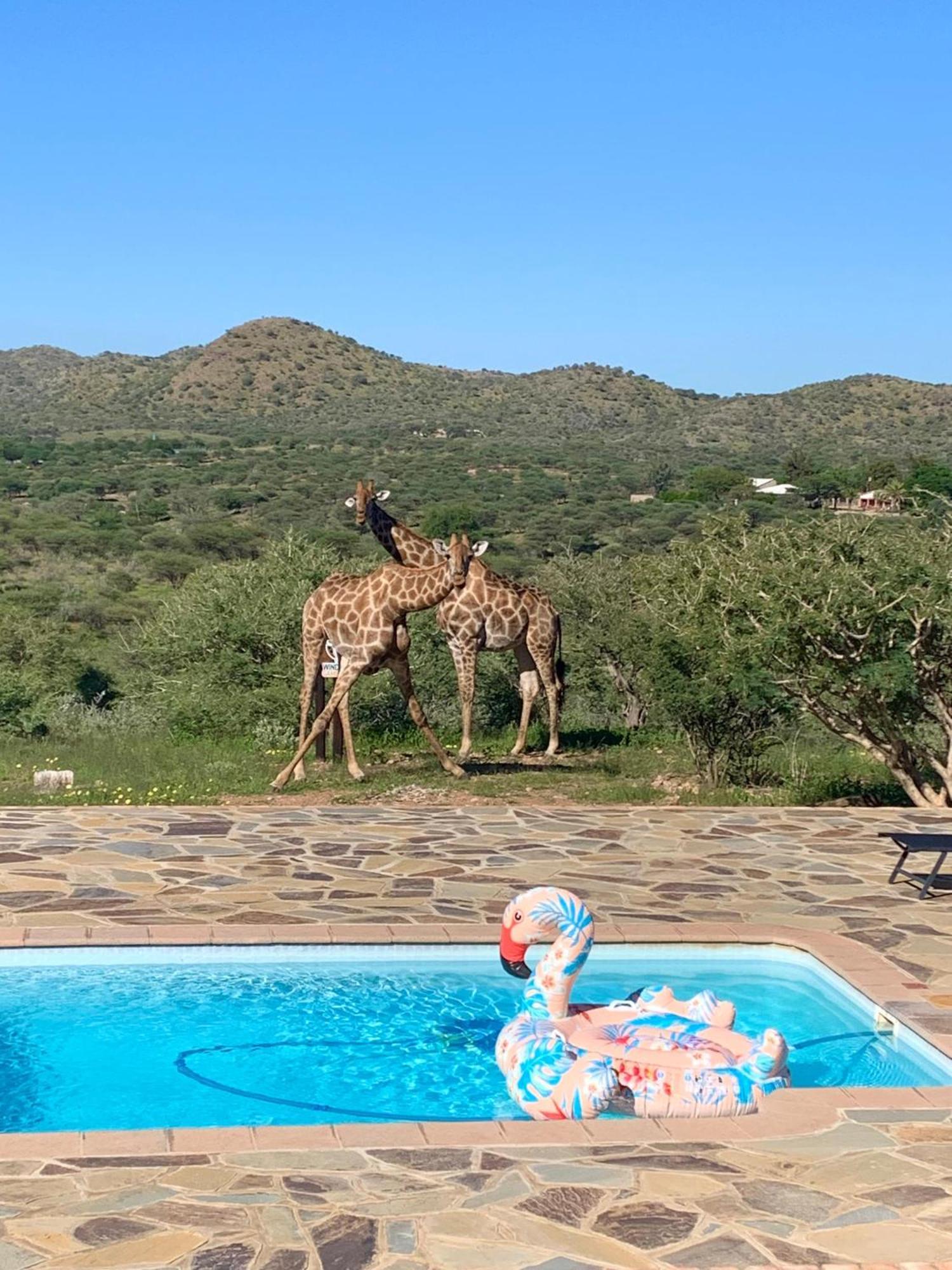 Windhoek Game Camp Lafrenz Township Esterno foto