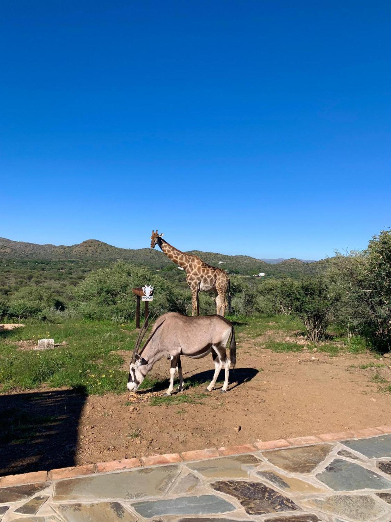 Windhoek Game Camp Lafrenz Township Esterno foto
